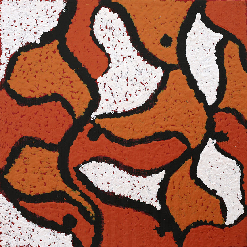 Aboriginal Artwork by Jamie Lee Nampijinpa Brown, Ngapa Jukurrpa (Water Dreaming) - Mikanji, 30x30cm
