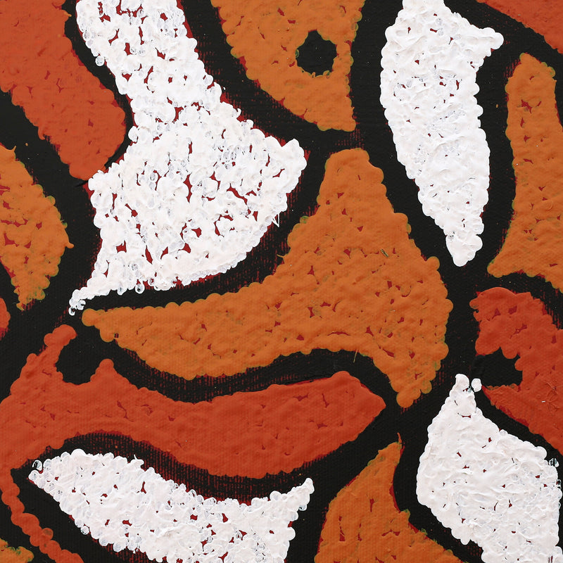 Aboriginal Artwork by Jamie Lee Nampijinpa Brown, Ngapa Jukurrpa (Water Dreaming) - Mikanji, 30x30cm