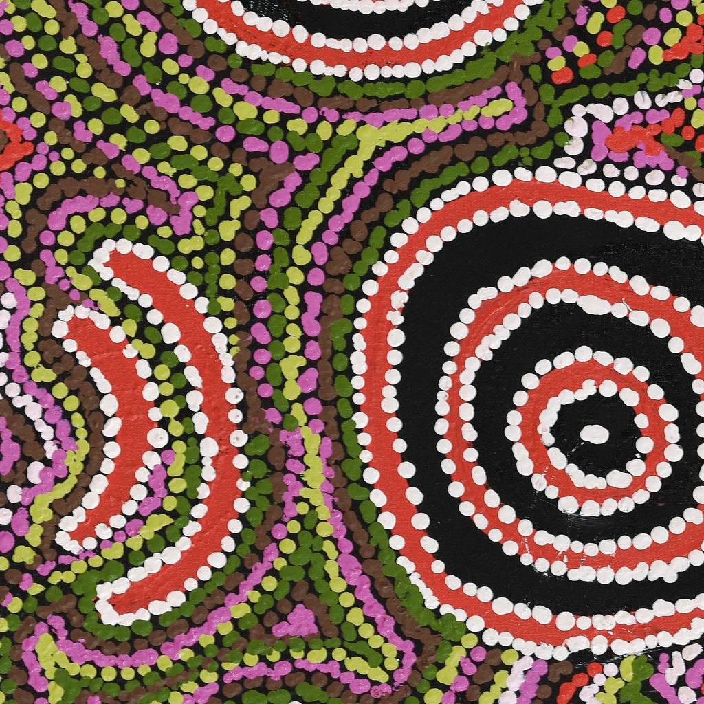 Aboriginal Artwork by Jeani Napangardi Lewis, Mina Mina Jukurrpa - Ngalyipi, 61x46cm - ART ARK®