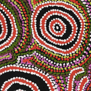 Aboriginal Artwork by Jeani Napangardi Lewis, Mina Mina Jukurrpa - Ngalyipi, 61x46cm - ART ARK®