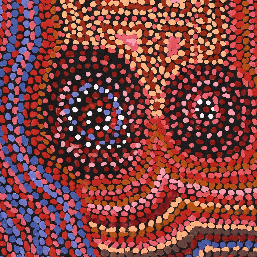 Aboriginal Artwork by Jeani Napangardi Lewis, Mina Mina Jukurrpa - Ngalyipi, 76x46cm