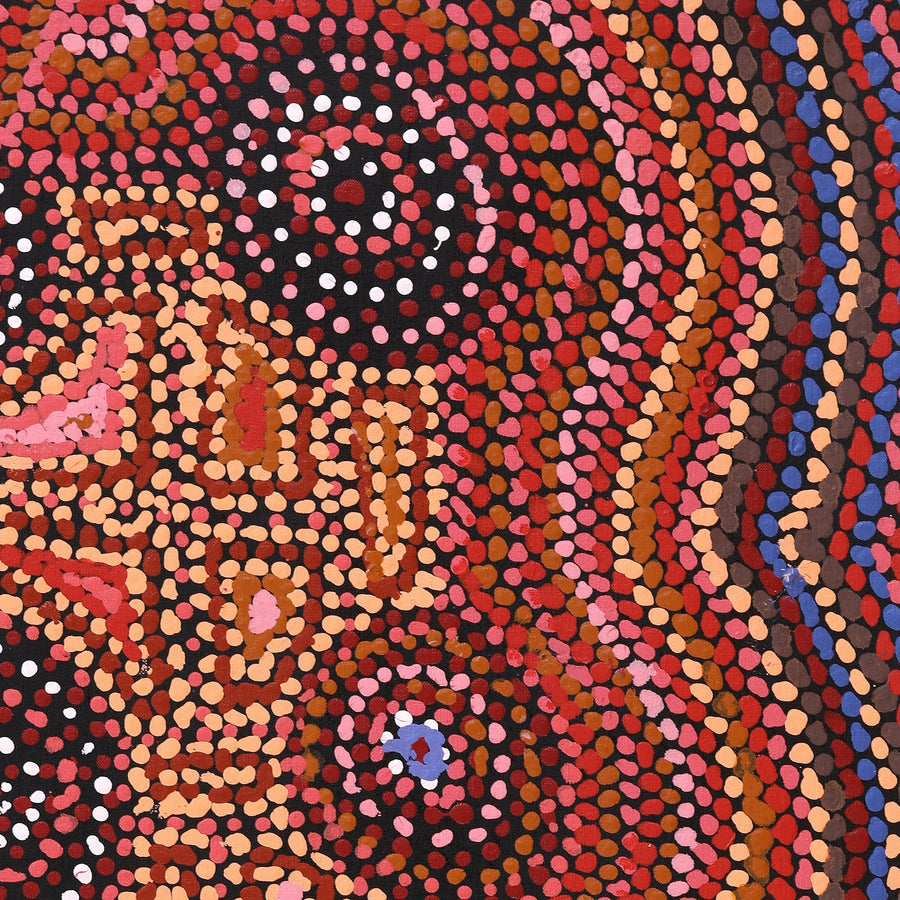Aboriginal Artwork by Jeani Napangardi Lewis, Mina Mina Jukurrpa - Ngalyipi, 76x46cm