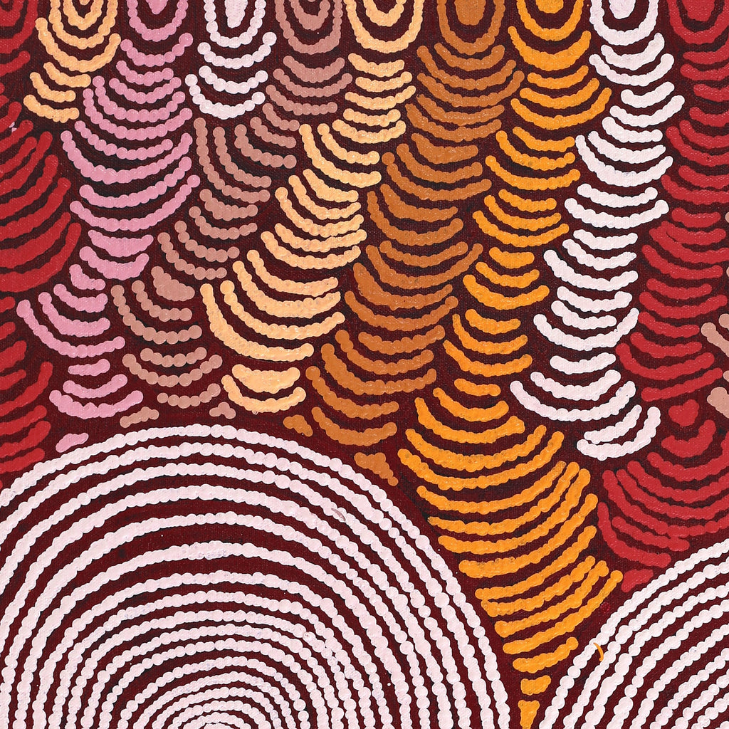 Aboriginal Artwork by Jenita Tjarurru Robertson, Nguru Warburton-wana (Country around Warburton), 61x46cm