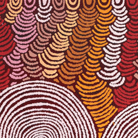 Aboriginal Artwork by Jenita Tjarurru Robertson, Nguru Warburton-wana (Country around Warburton), 61x46cm