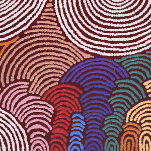 Aboriginal Art by Jenita Tjarurru Robertson, Nguru Warburton-wana (Country around Warburton), 61x46cm - ART ARK®