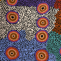 Aboriginal Artwork by Jenita Tjarurru Robertson, Nguru Warburton-wana (Country around Warburton), 76x46cm