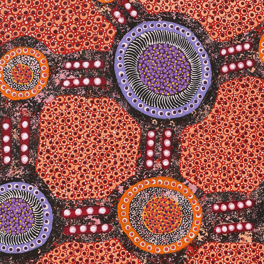 Aboriginal Artwork by Jennifer Napaljarri Lewis, Ngapa Jukurrpa (Water Dreaming) - Puyurru, 122x61cm
