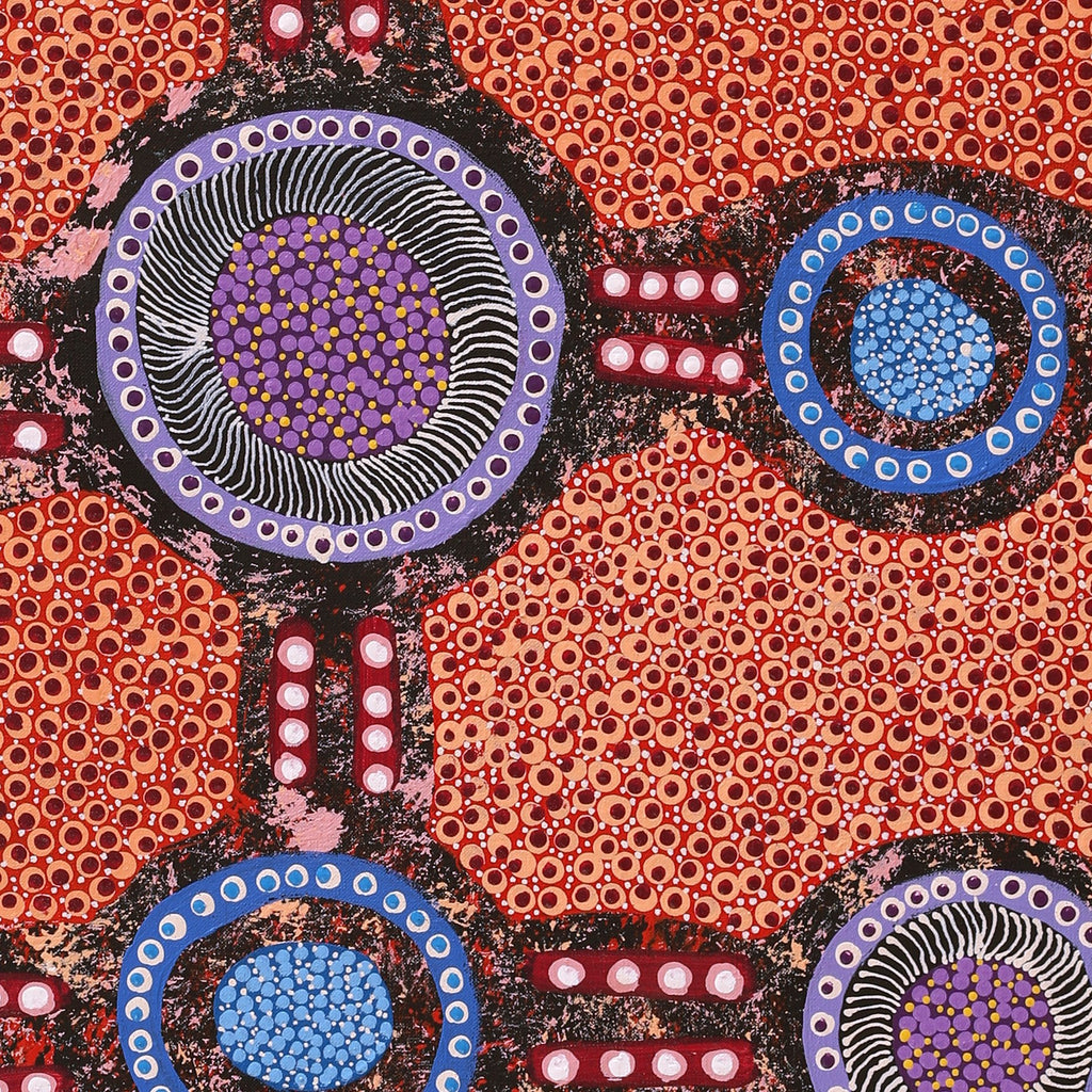 Aboriginal Artwork by Jennifer Napaljarri Lewis, Ngapa Jukurrpa (Water Dreaming) - Puyurru, 122x61cm