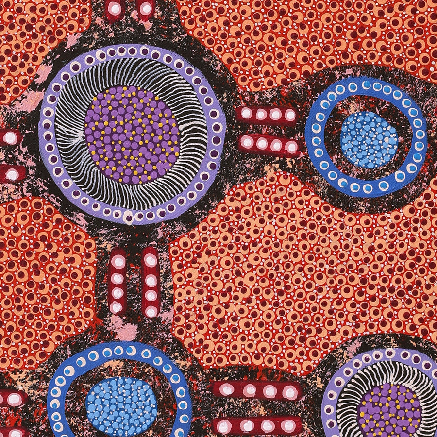Aboriginal Artwork by Jennifer Napaljarri Lewis, Ngapa Jukurrpa (Water Dreaming) - Puyurru, 122x61cm