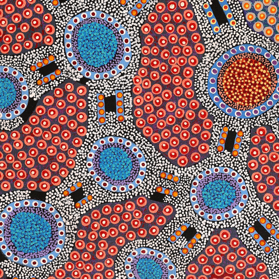 Aboriginal Artwork by Jennifer Napaljarri Lewis, Ngapa Jukurrpa (Water Dreaming) - Puyurru, 122x61cm