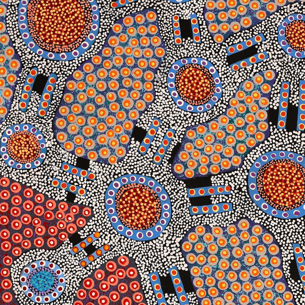 Aboriginal Artwork by Jennifer Napaljarri Lewis, Ngapa Jukurrpa (Water Dreaming) - Puyurru, 122x61cm