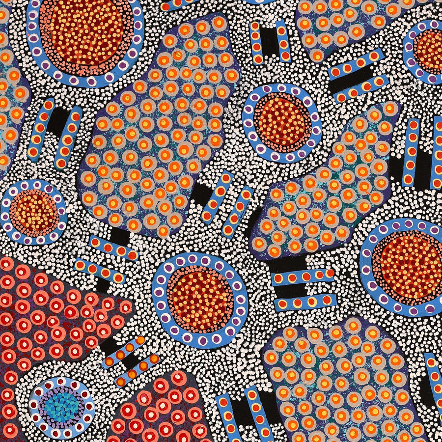 Aboriginal Artwork by Jennifer Napaljarri Lewis, Ngapa Jukurrpa (Water Dreaming) - Puyurru, 122x61cm