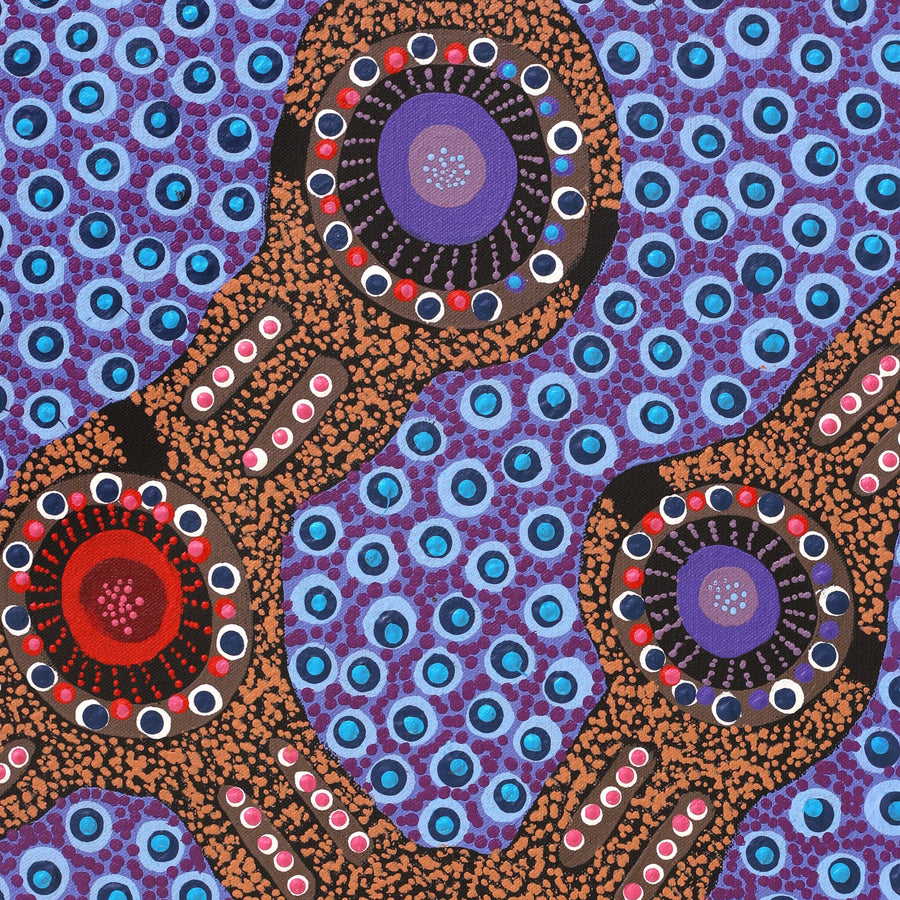 Aboriginal Artwork by Jennifer Napaljarri Lewis, Ngapa Jukurrpa (Water Dreaming) - Puyurru, 61x30cm