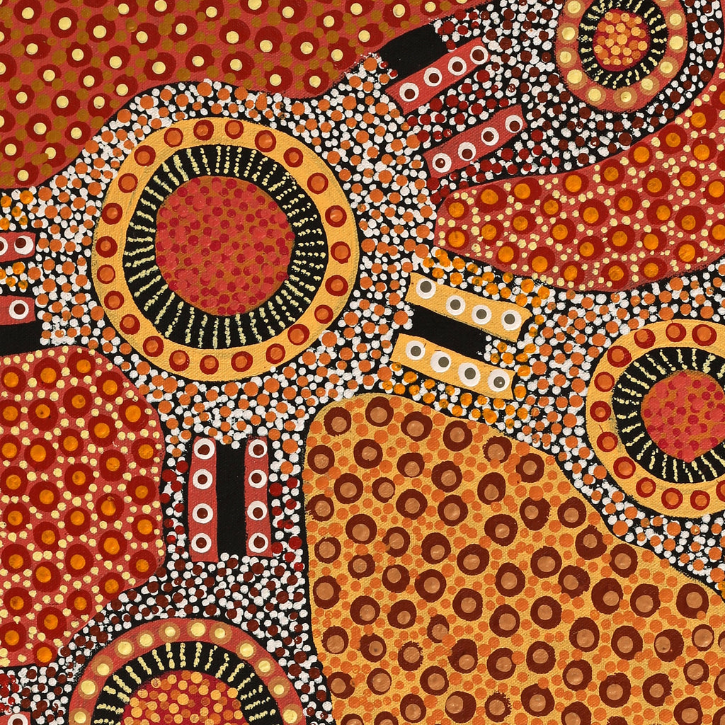 Aboriginal Art by Jennifer Napaljarri Lewis, Ngapa Jukurrpa (Water Dreaming) - Puyurru, 61x46cm - ART ARK®