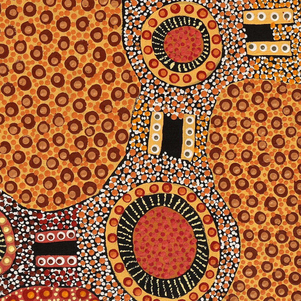 Aboriginal Artwork by Jennifer Napaljarri Lewis, Ngapa Jukurrpa (Water Dreaming) - Puyurru, 61x46cm