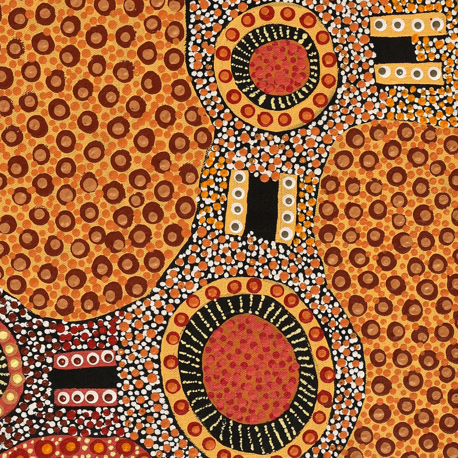 Aboriginal Artwork by Jennifer Napaljarri Lewis, Ngapa Jukurrpa (Water Dreaming) - Puyurru, 61x46cm