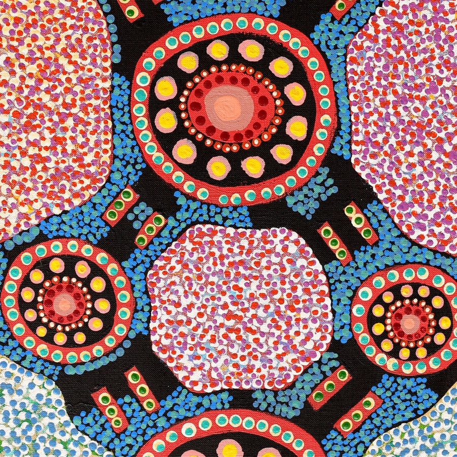 Aboriginal Artwork by Jennifer Napaljarri Lewis, Ngapa Jukurrpa (Water Dreaming) - Puyurru, 76x30cm