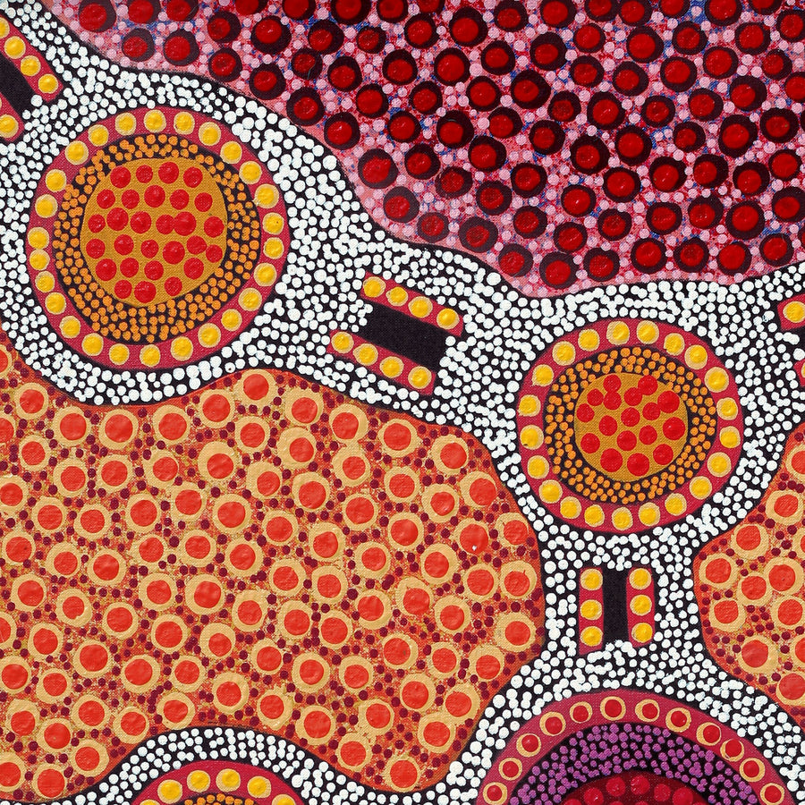 Aboriginal Artwork by Jennifer Napaljarri Lewis, Ngapa Jukurrpa (Water Dreaming) - Puyurru, 76x61cm
