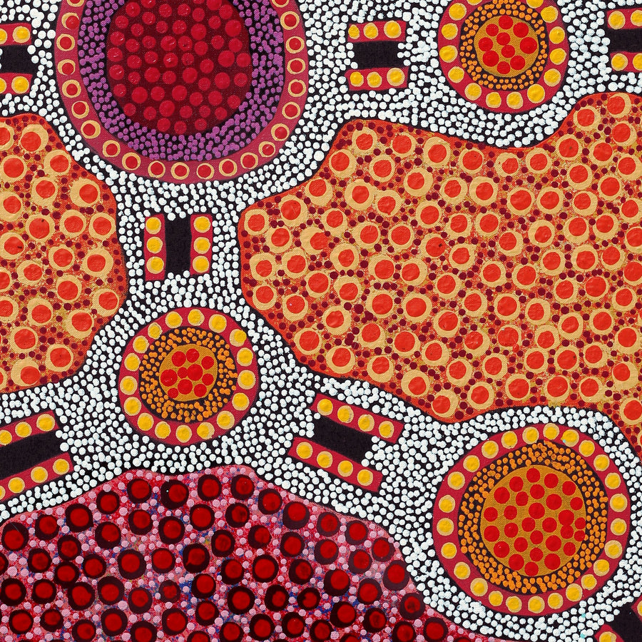 Aboriginal Artwork by Jennifer Napaljarri Lewis, Ngapa Jukurrpa (Water Dreaming) - Puyurru, 76x61cm