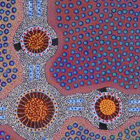 Aboriginal Artwork by Jennifer Napaljarri Lewis, Ngapa Jukurrpa (Water Dreaming) - Puyurru, 76x76cm