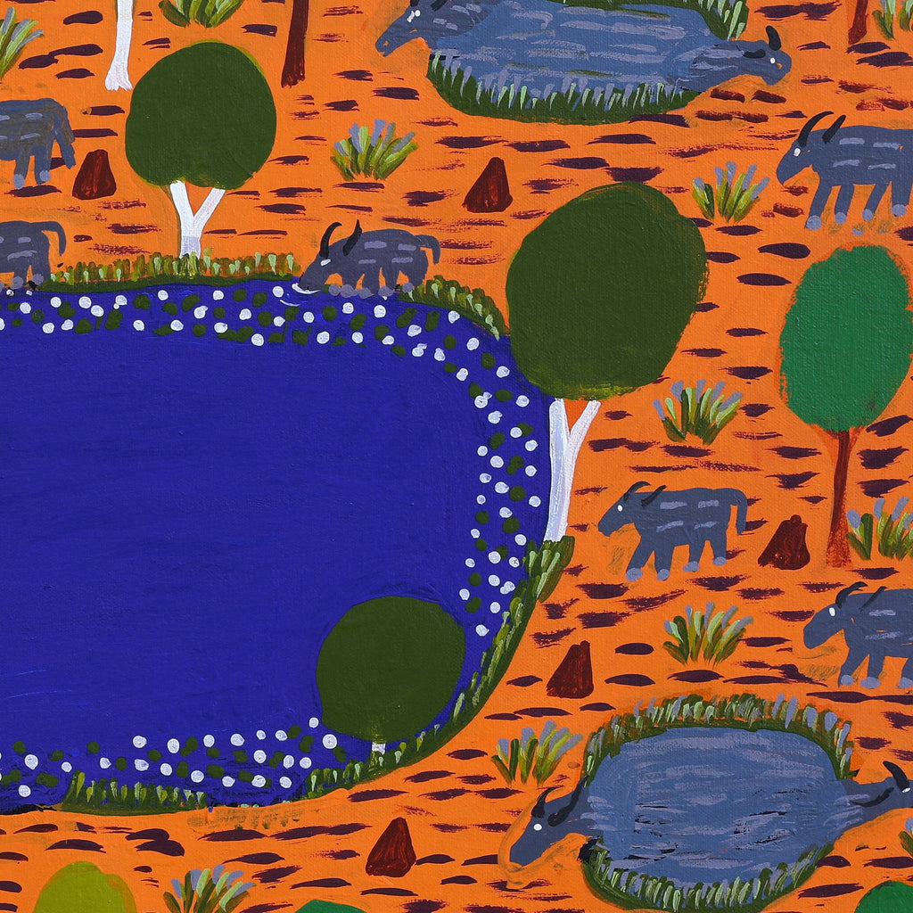 Aboriginal Artwork by Jill Daniels, Buffalo in the Billabong, 60x45cm