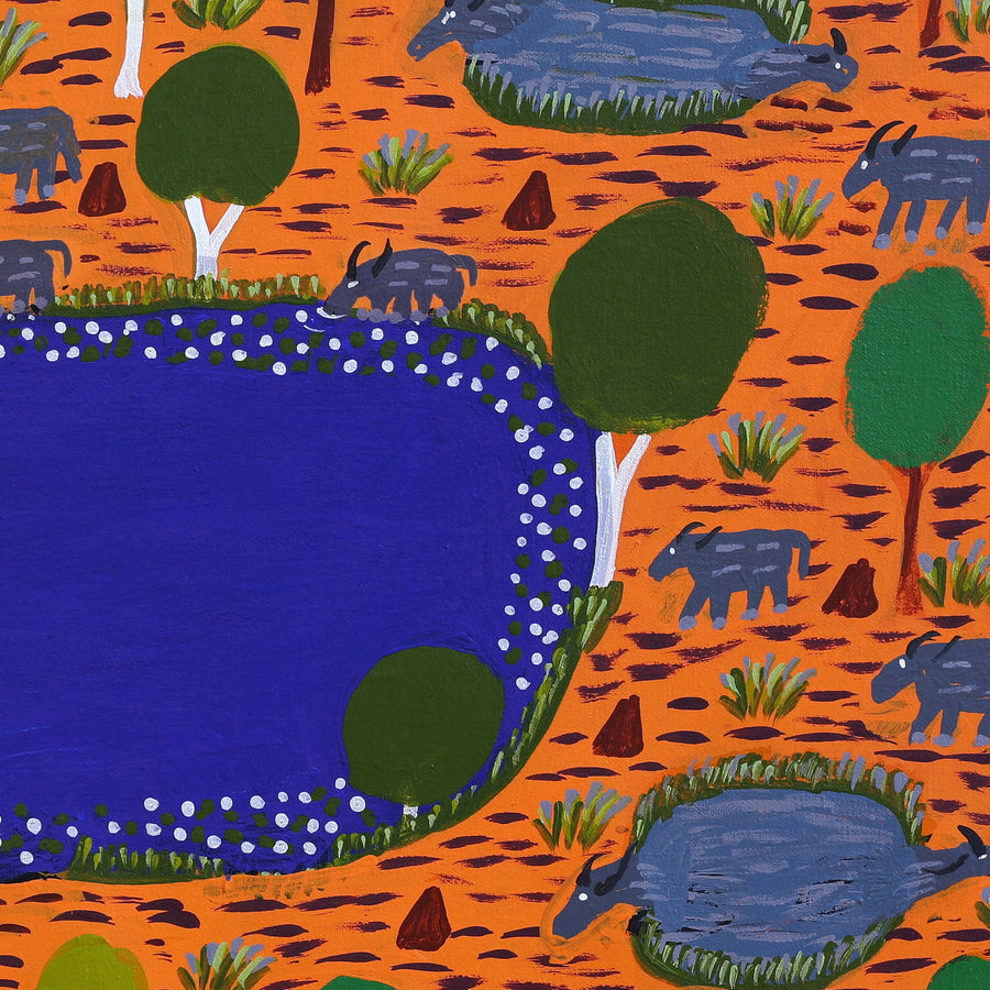 Aboriginal Artwork by Jill Daniels, Buffalo in the Billabong, 60x45cm
