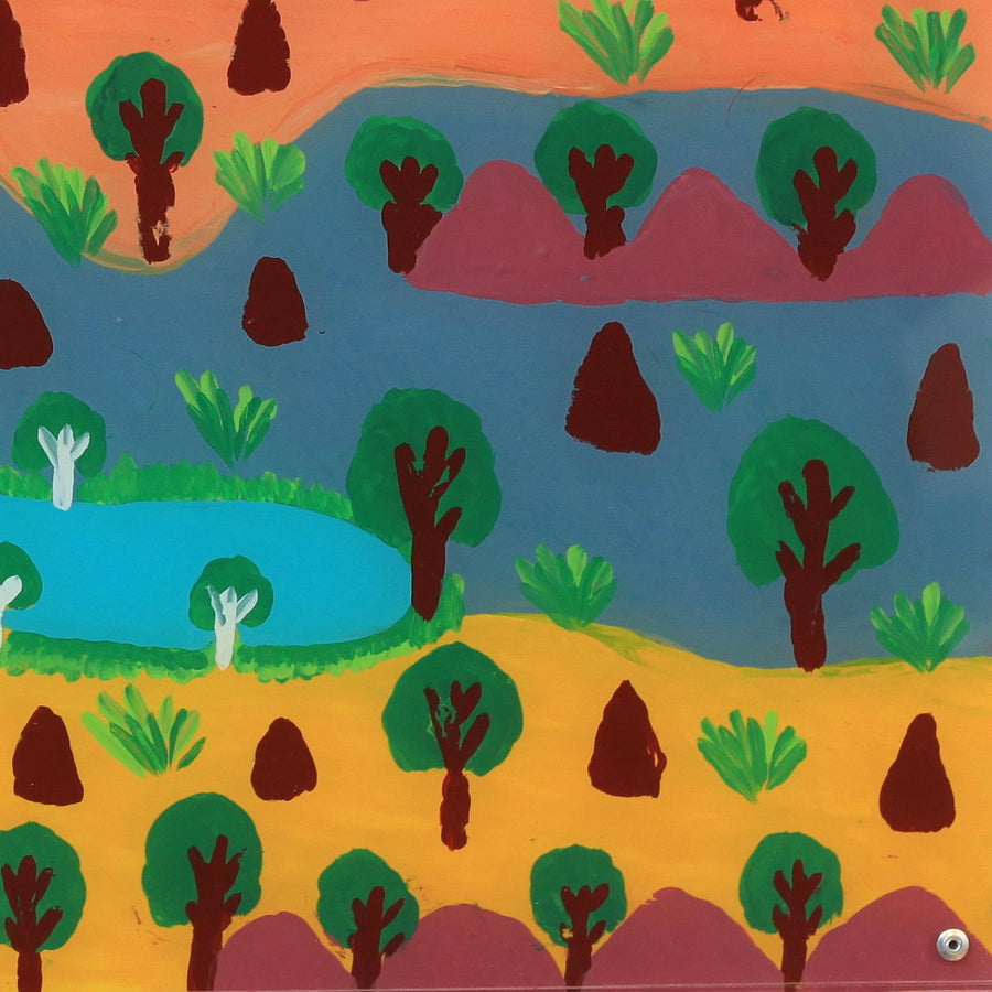 Aboriginal Artwork by Jill Daniels, Landscape#3, 42x30cm Perspex
