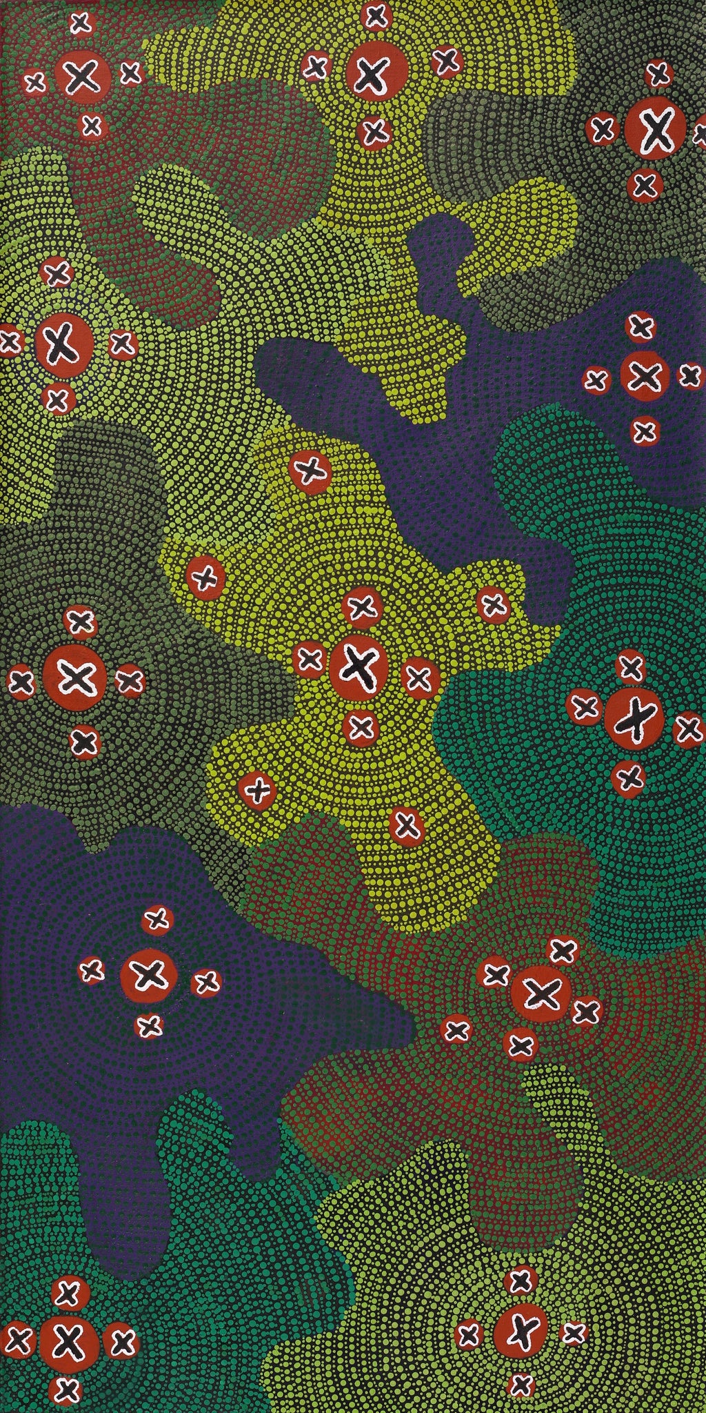 Aboriginal Artwork by Jill Nungarrayi Watson, Ngatijirri Jukurrpa (Budgerigar Dreaming), 122x61cm