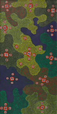 Aboriginal Artwork by Jill Nungarrayi Watson, Ngatijirri Jukurrpa (Budgerigar Dreaming), 122x61cm
