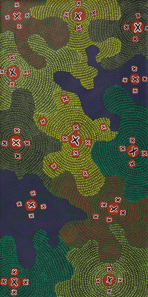Aboriginal Artwork by Jill Nungarrayi Watson, Ngatijirri Jukurrpa (Budgerigar Dreaming), 122x61cm