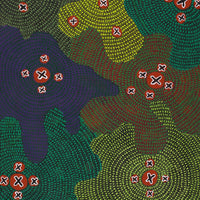 Aboriginal Artwork by Jill Nungarrayi Watson, Ngatijirri Jukurrpa (Budgerigar Dreaming), 122x61cm