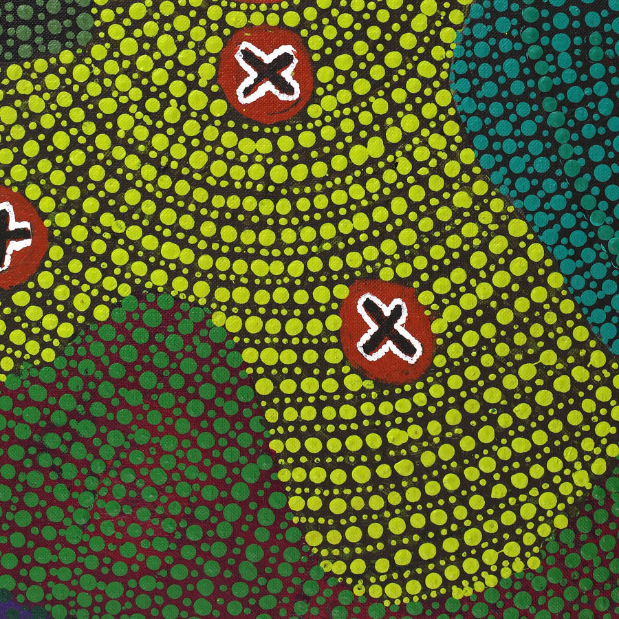 Aboriginal Artwork by Jill Nungarrayi Watson, Ngatijirri Jukurrpa (Budgerigar Dreaming), 122x61cm