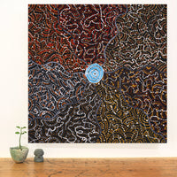Aboriginal Artwork by Jillian Nampijinpa Brown, Ngapa Jukurrpa (Water Dreaming) - Mikanji, 61x61cm