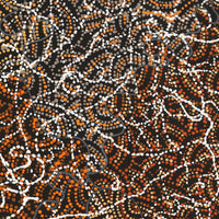 Aboriginal Artwork by Jillian Nampijinpa Brown, Ngapa Jukurrpa (Water Dreaming) - Mikanji, 76x76cm