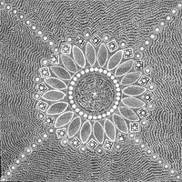 Aboriginal Artwork by Jocelyn Napanangka Frank, Lukarrara Jukurrpa, 46x46cm