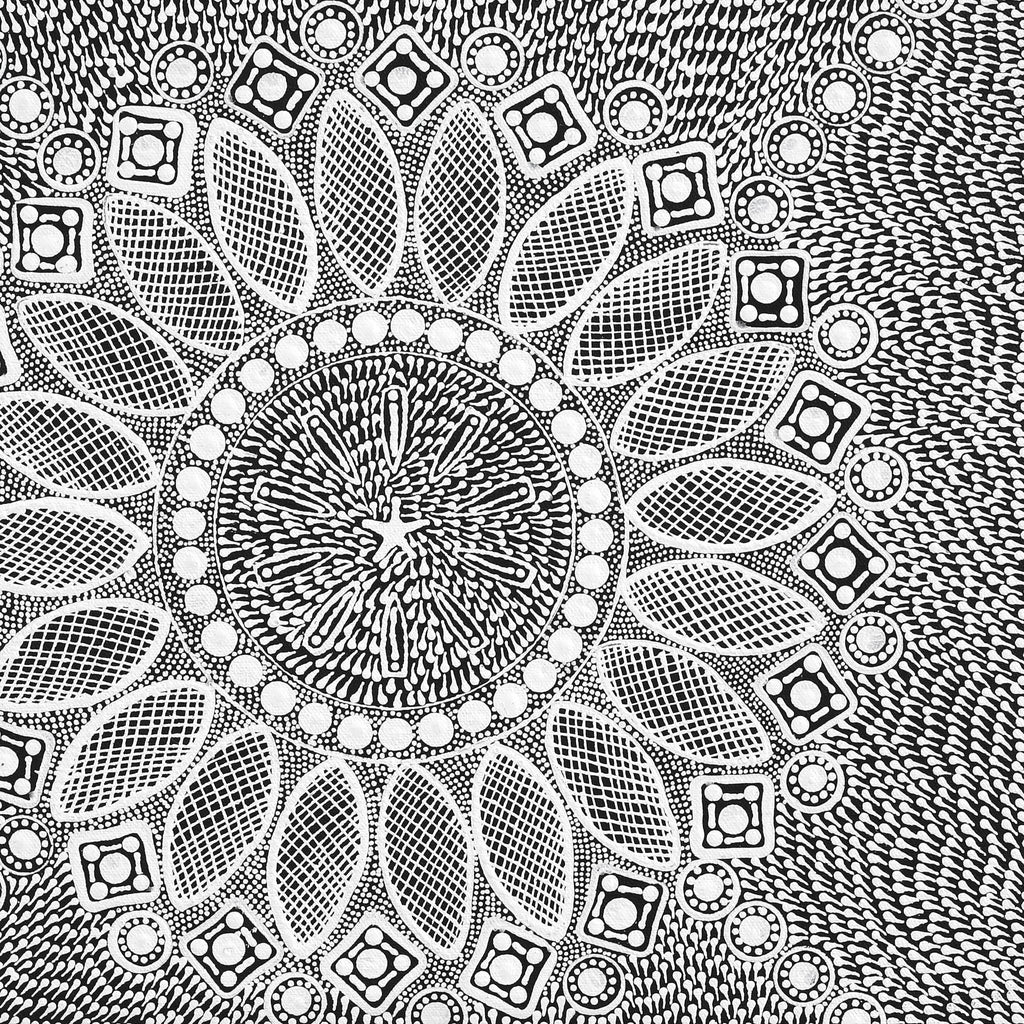 Aboriginal Artwork by Jocelyn Napanangka Frank, Lukarrara Jukurrpa, 46x46cm