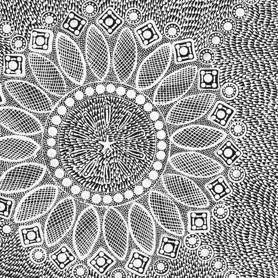 Aboriginal Artwork by Jocelyn Napanangka Frank, Lukarrara Jukurrpa, 46x46cm