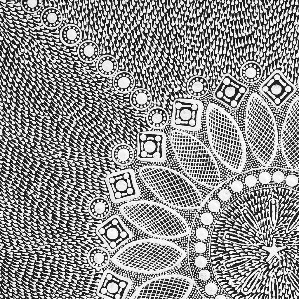 Aboriginal Artwork by Jocelyn Napanangka Frank, Lukarrara Jukurrpa, 46x46cm