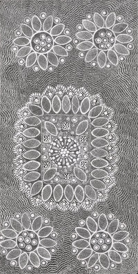 Aboriginal Artwork by Jocelyn Napanangka Frank, Lukarrara Jukurrpa, 91x46cm
