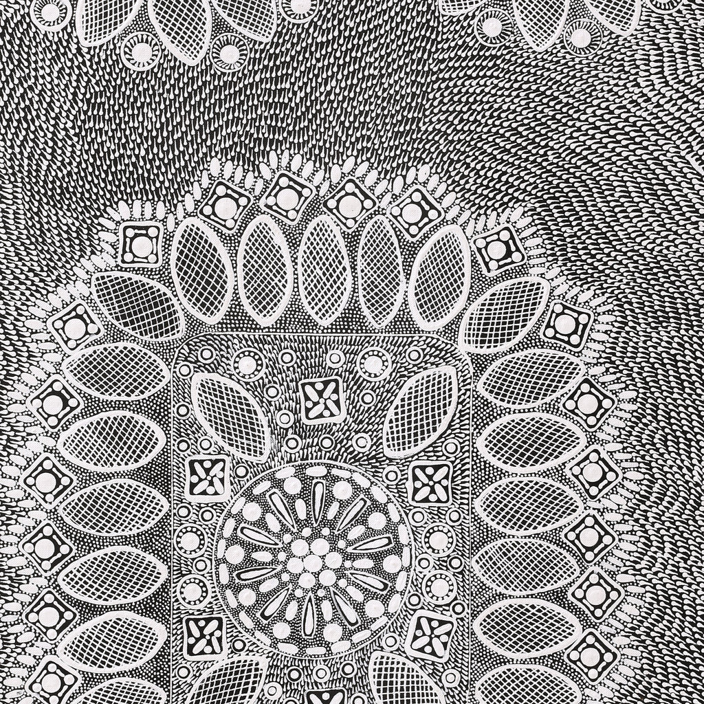 Aboriginal Artwork by Jocelyn Napanangka Frank, Lukarrara Jukurrpa, 91x46cm