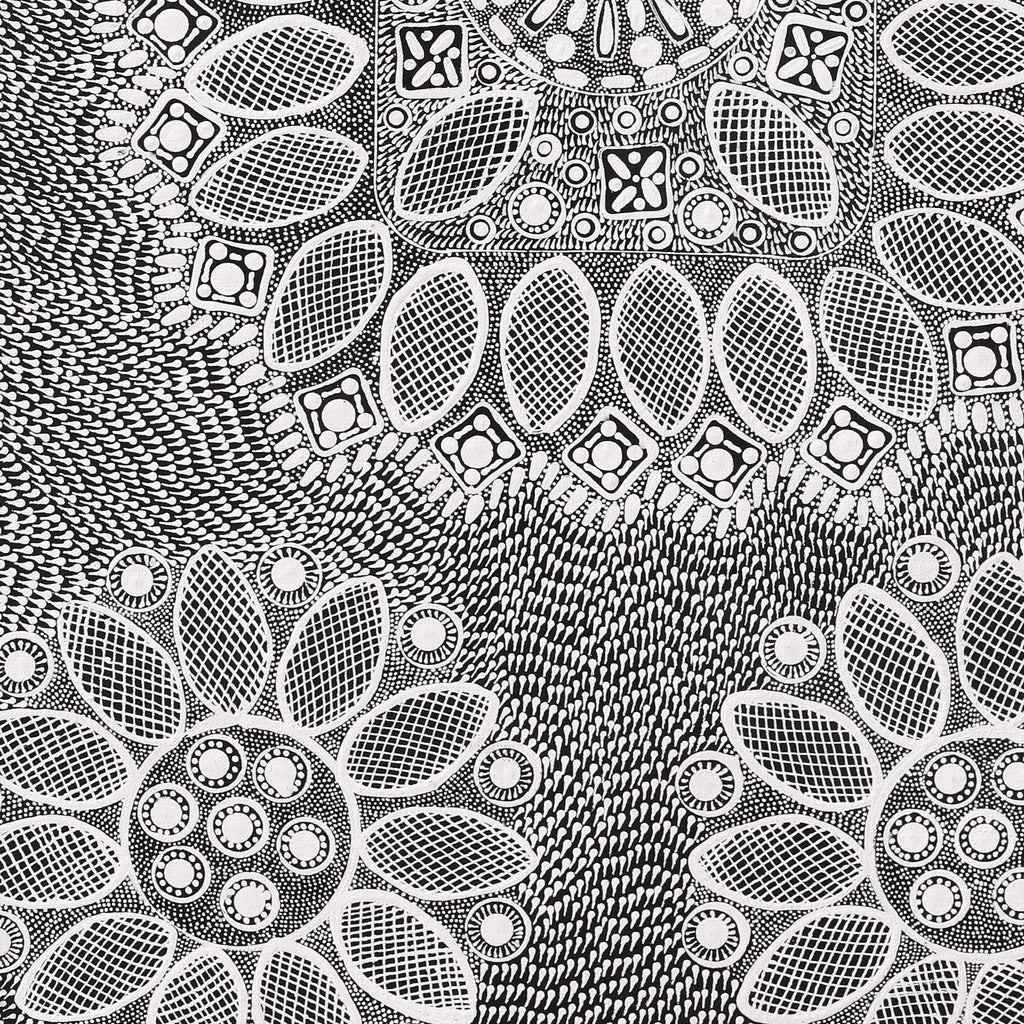 Aboriginal Artwork by Jocelyn Napanangka Frank, Lukarrara Jukurrpa, 91x46cm
