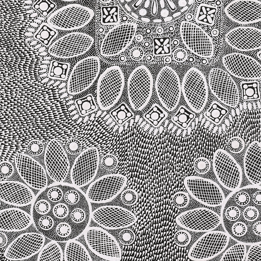 Aboriginal Artwork by Jocelyn Napanangka Frank, Lukarrara Jukurrpa, 91x46cm