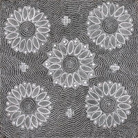 Aboriginal Artwork by Jocelyn Napanangka Frank, Lukarrara Jukurrpa (Desert Fringe-rush Seed Dreaming), 61x61cm