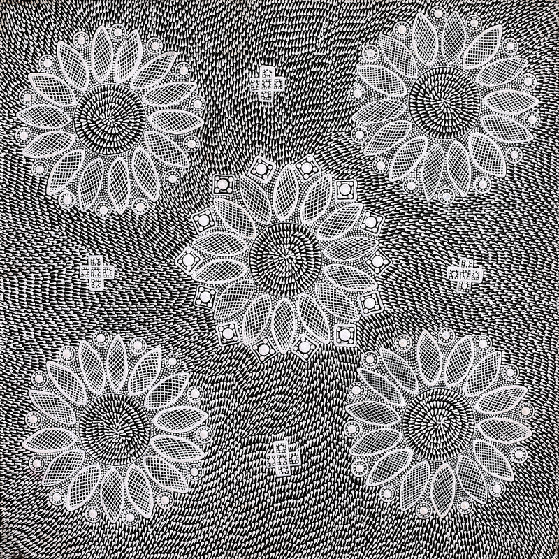Aboriginal Artwork by Jocelyn Napanangka Frank, Lukarrara Jukurrpa (Desert Fringe-rush Seed Dreaming), 61x61cm