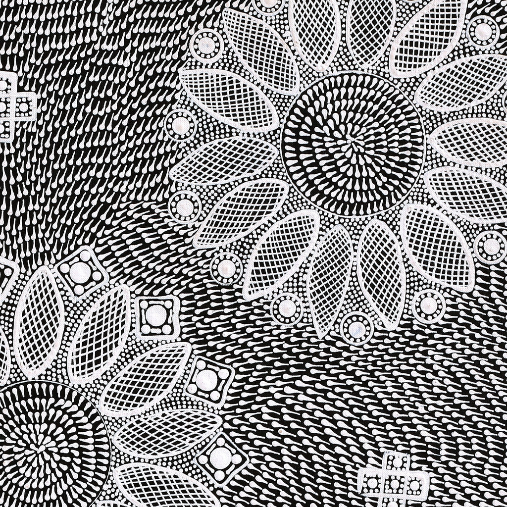 Aboriginal Artwork by Jocelyn Napanangka Frank, Lukarrara Jukurrpa (Desert Fringe-rush Seed Dreaming), 61x61cm