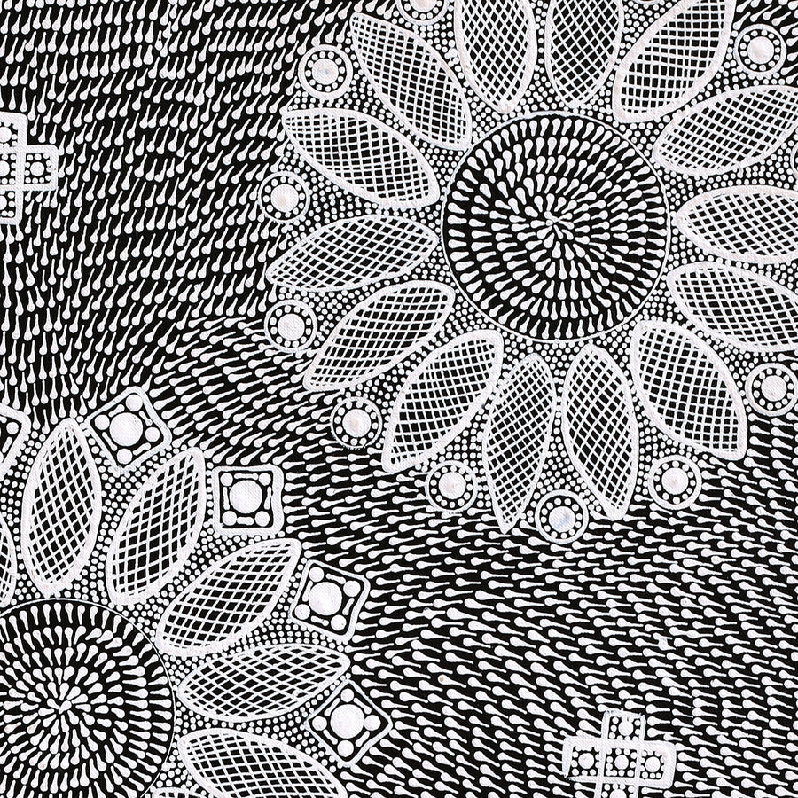 Aboriginal Artwork by Jocelyn Napanangka Frank, Lukarrara Jukurrpa (Desert Fringe-rush Seed Dreaming), 61x61cm