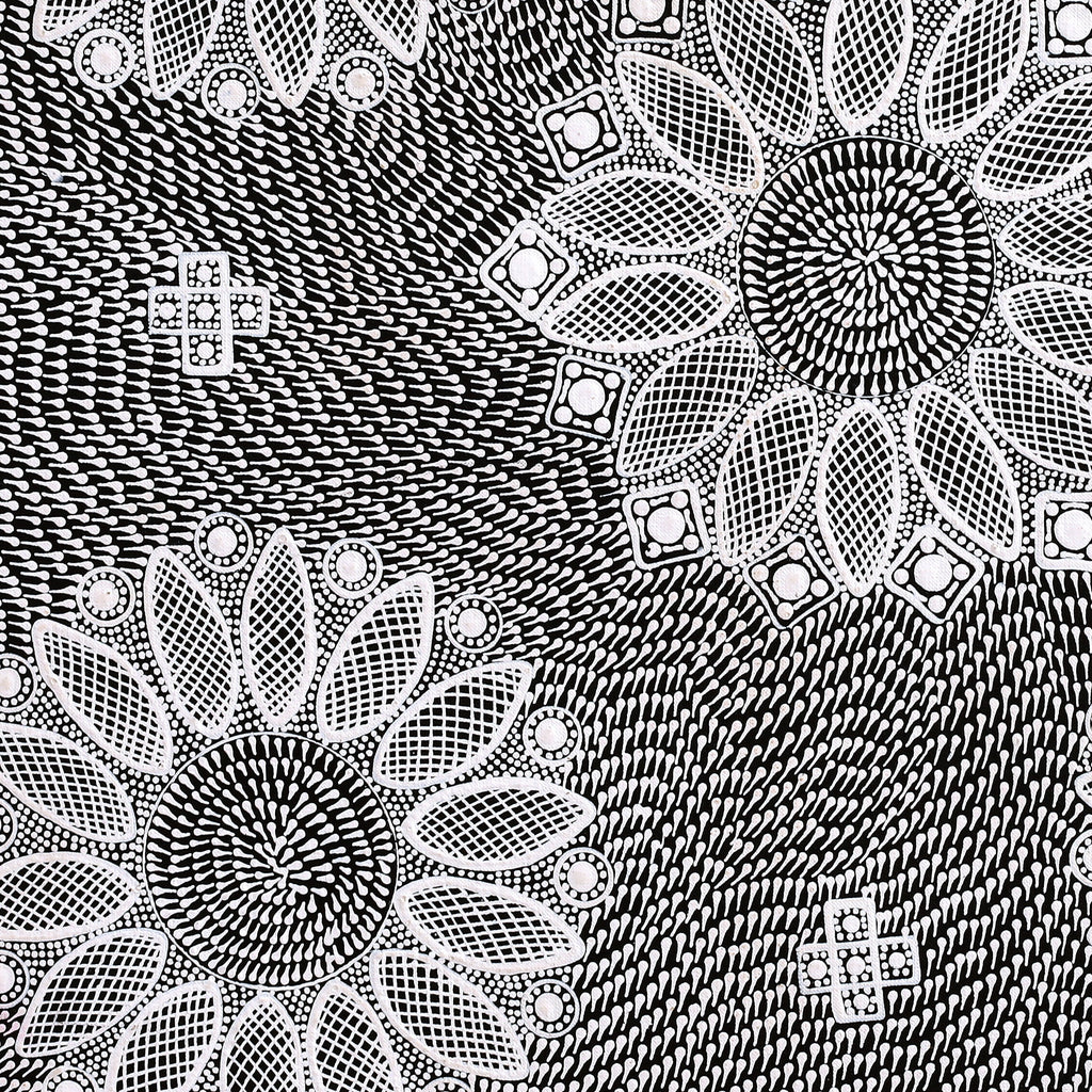 Aboriginal Artwork by Jocelyn Napanangka Frank, Lukarrara Jukurrpa (Desert Fringe-rush Seed Dreaming), 61x61cm