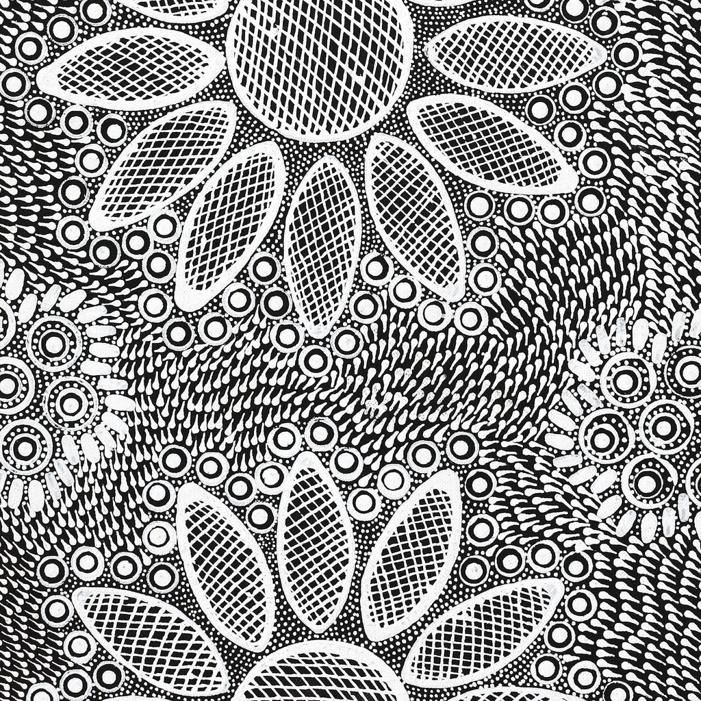 Aboriginal Artwork by Jocelyn Napanangka Frank, Yurrampi Jukurrpa (Honey Ant Dreaming), 152x30cm