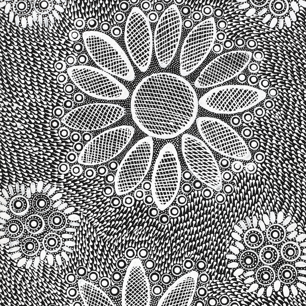 Aboriginal Artwork by Jocelyn Napanangka Frank, Yurrampi Jukurrpa (Honey Ant Dreaming), 152x30cm