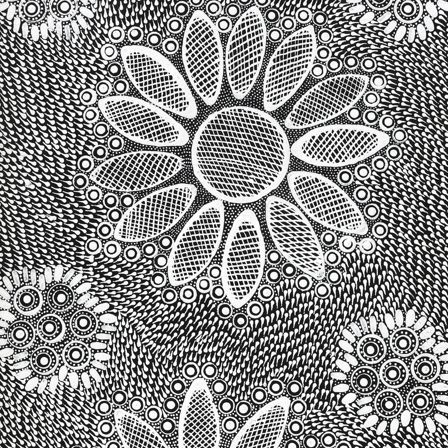 Aboriginal Artwork by Jocelyn Napanangka Frank, Yurrampi Jukurrpa (Honey Ant Dreaming), 152x30cm